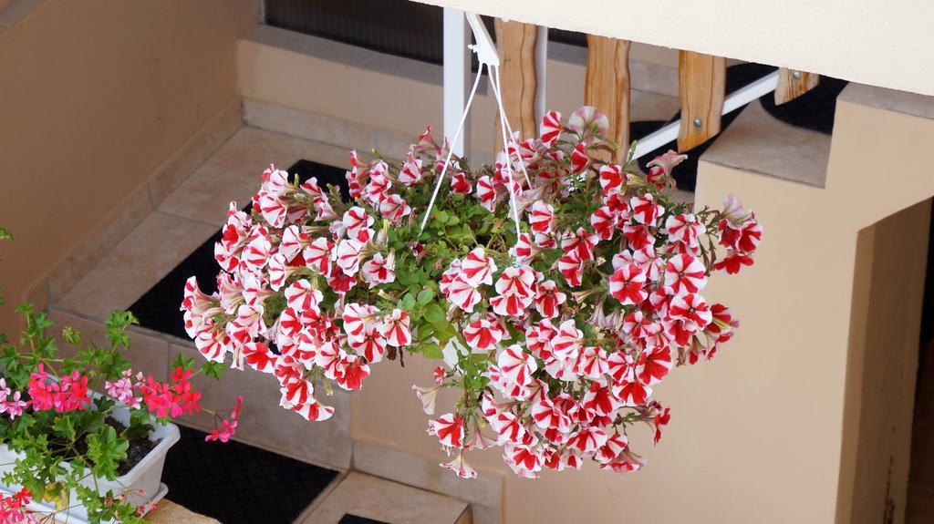 Apartments Red Rose نين المظهر الخارجي الصورة